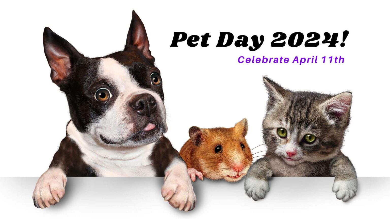 Celebrate National Pet Day 2024 Pet History, Tips, and Traditions