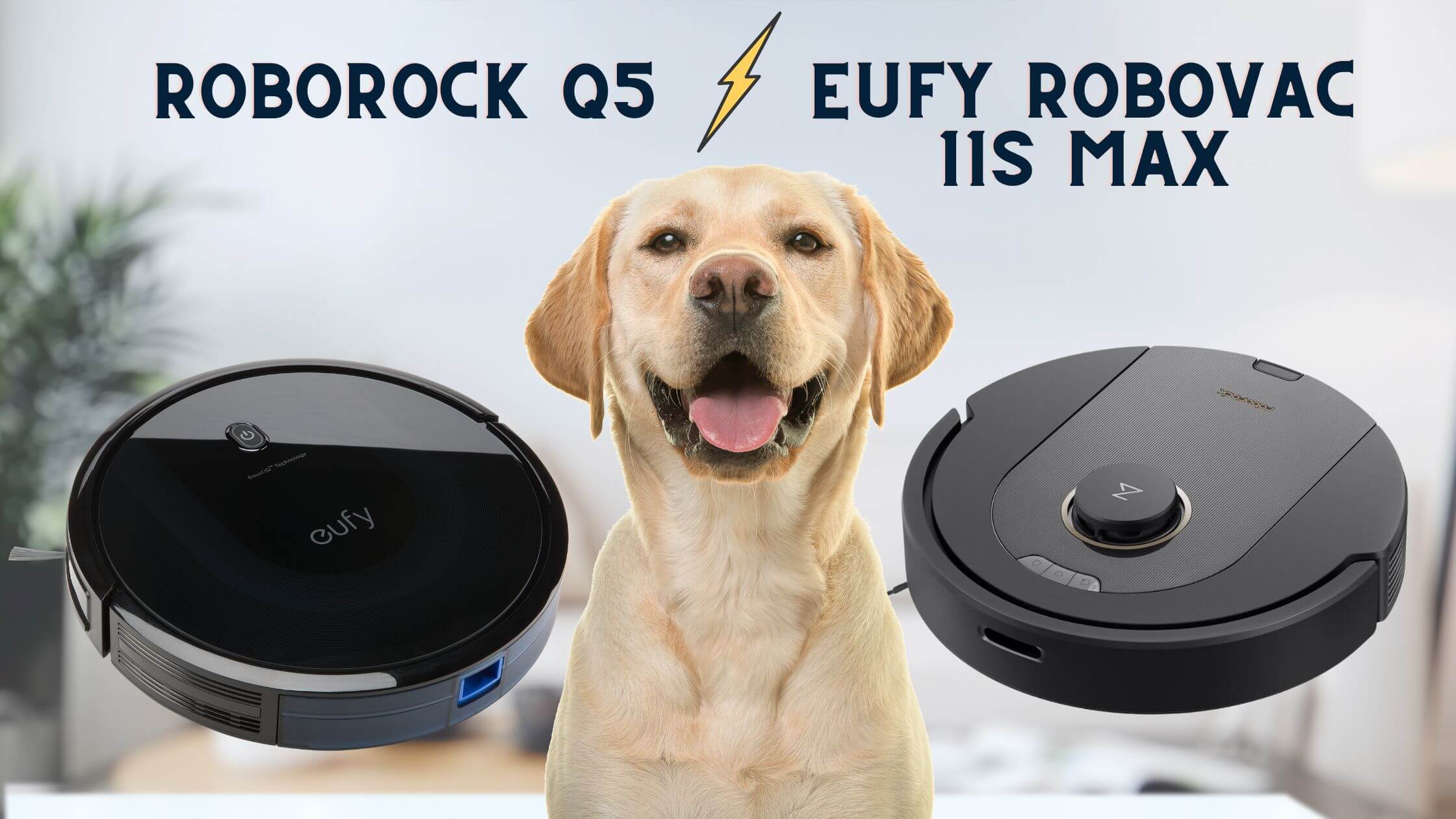 Best Robot Vacuum for Pet Hair Roborock Q5 vs Eufy RoboVac 11S Max Review