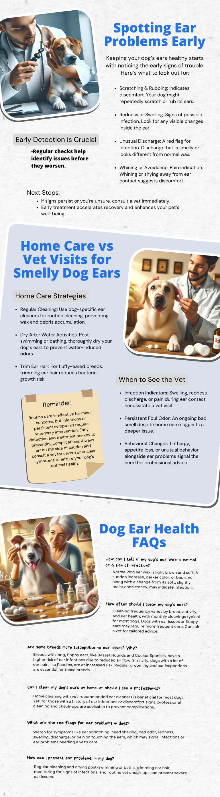 Why Do My Dog's Ears Smell Bad? Causes & Solutions